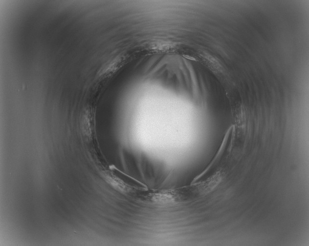 X0000054430572200508192127