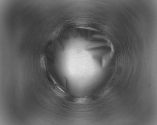 X0000054430575200508192127