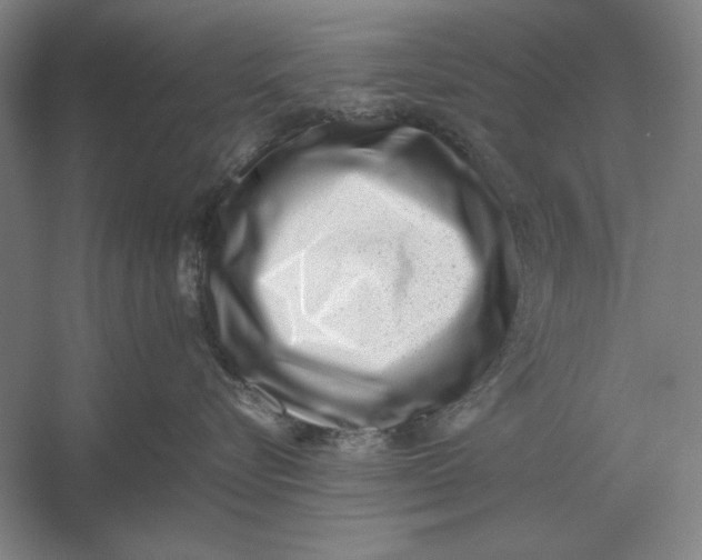 X0000054430576200508192127