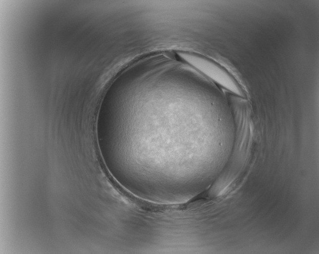 X0000054430577200508192126