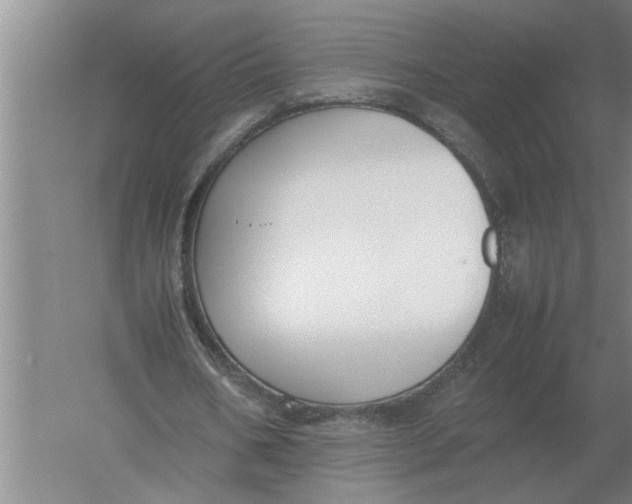 X0000054430578200508192126