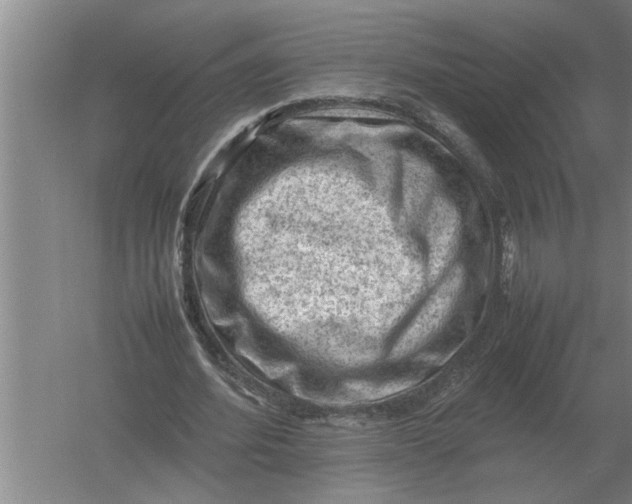 X0000054430580200508192126