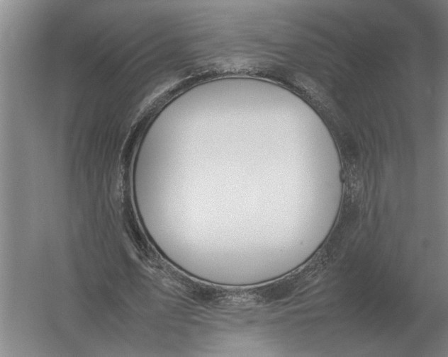 X0000054430583200508192126