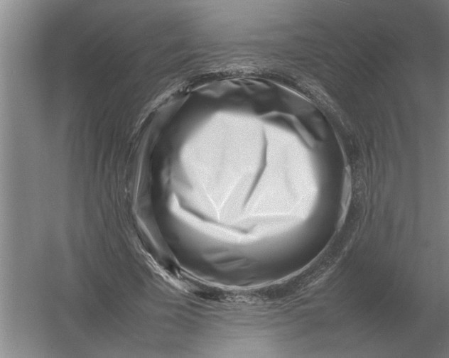 X0000054430585200508192126