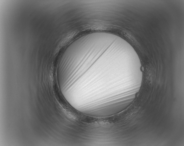 X0000054430586200508192126