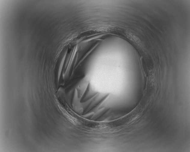 X0000054430589200508192126