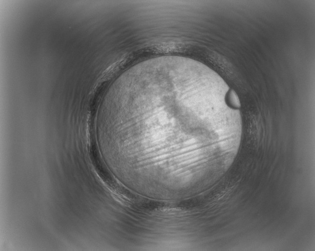 X0000054430590200508192126