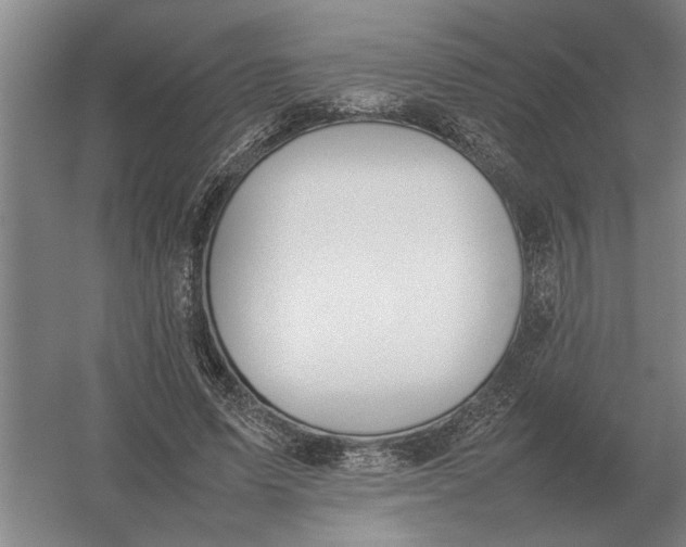 X0000054430591200508192126