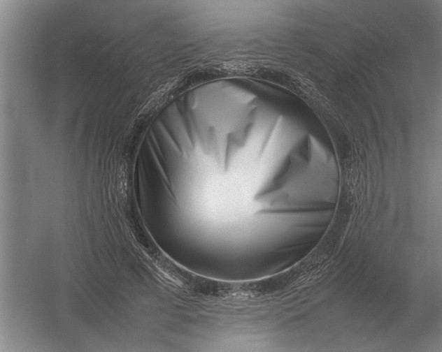 X0000054430593200508192126