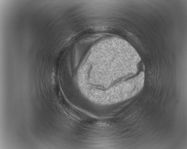 X0000054430596200508192126