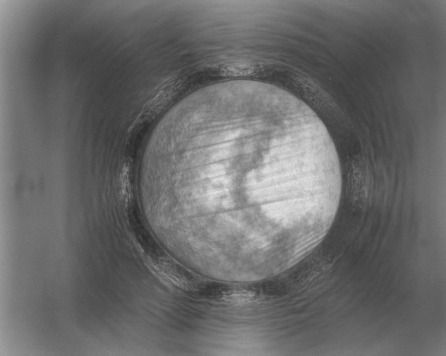 X0000054430598200508192126