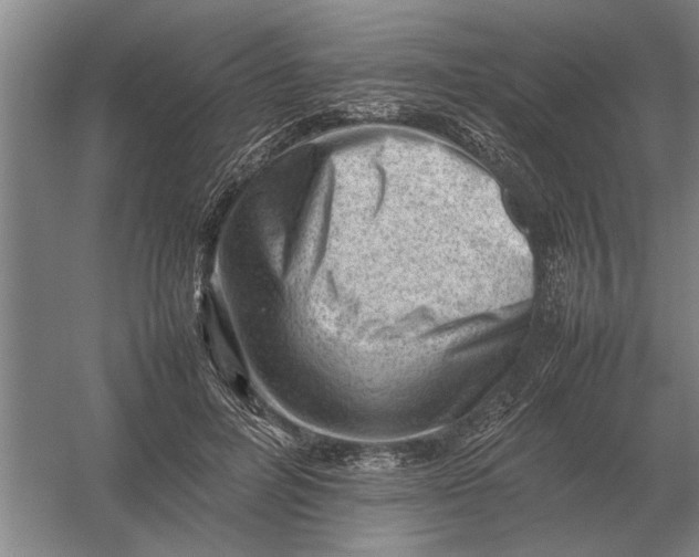 X0000054430600200508192125