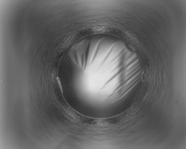 X0000054430601200508192125