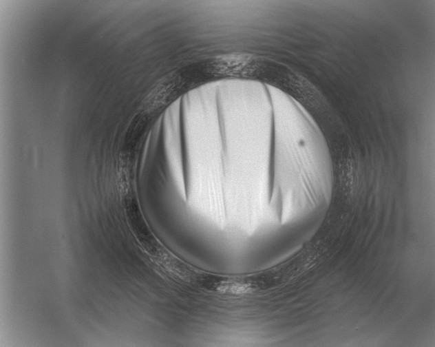 X0000054430602200508192125