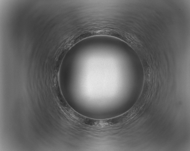 X0000054430607200508192125