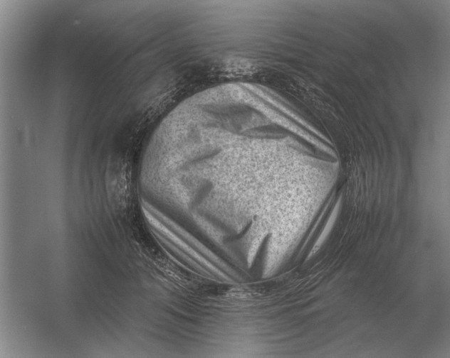 X0000054430608200508192125