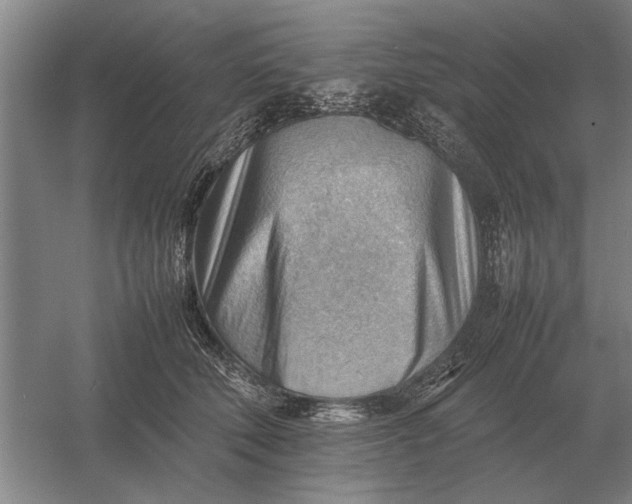 X0000054430610200508192125