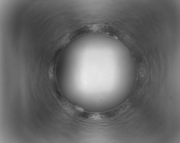 X0000054430611200508192125