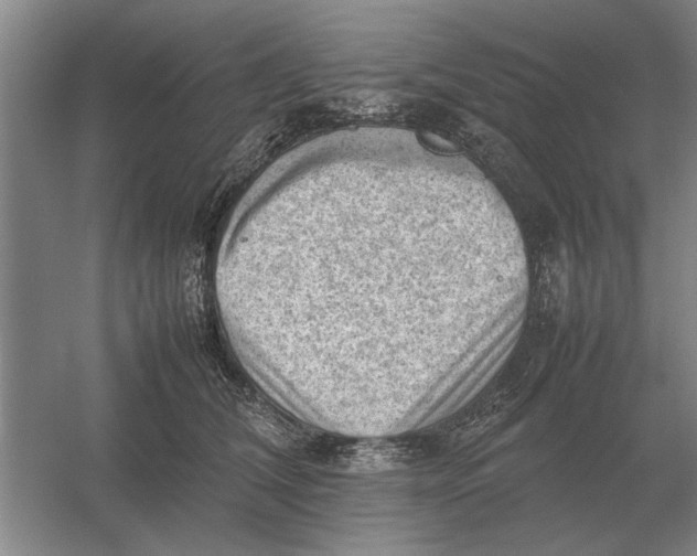 X0000054430612200508192125