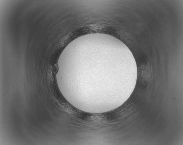 X0000054430615200508192125