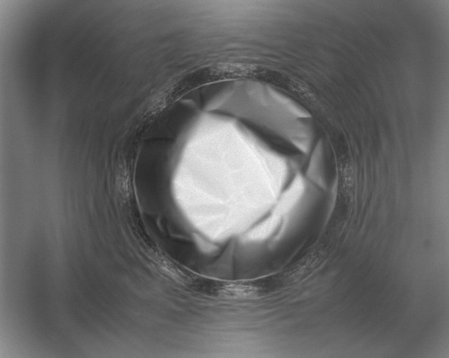 X0000054430617200508192125