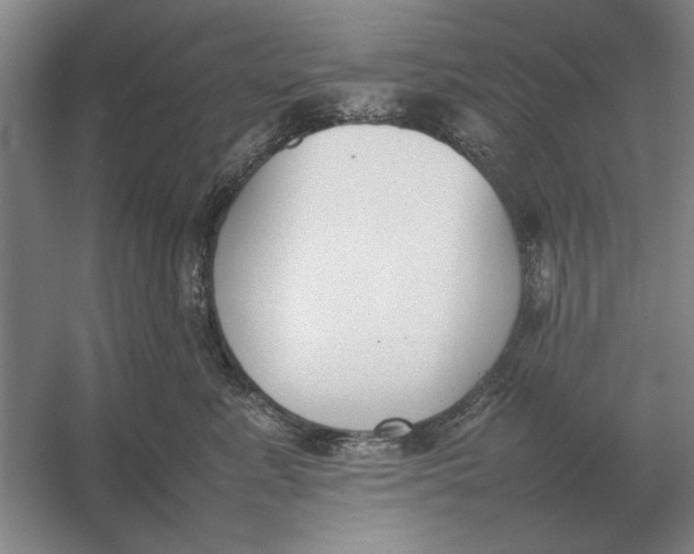 X0000054430619200508192125