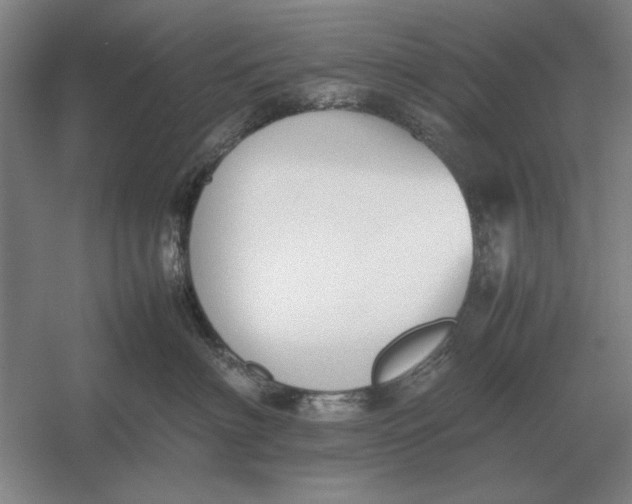 X0000054430622200508192125