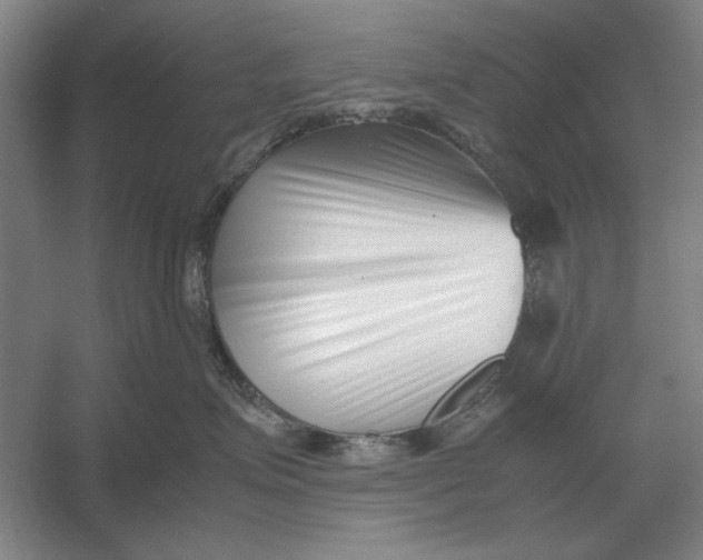 X0000054430623200508192125