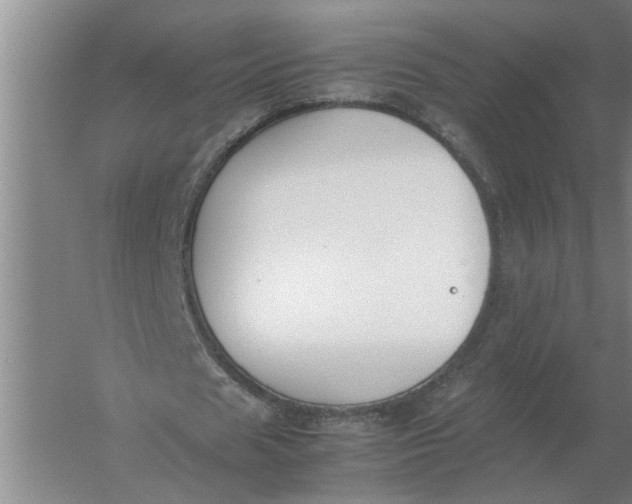 X0000054430625200508192124