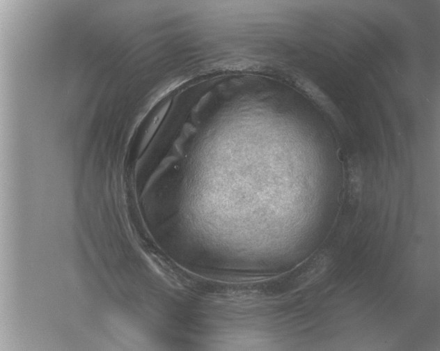 X0000054430626200508192124