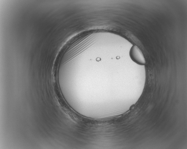 X0000054430628200508192124