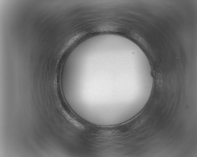 X0000054430629200508192124