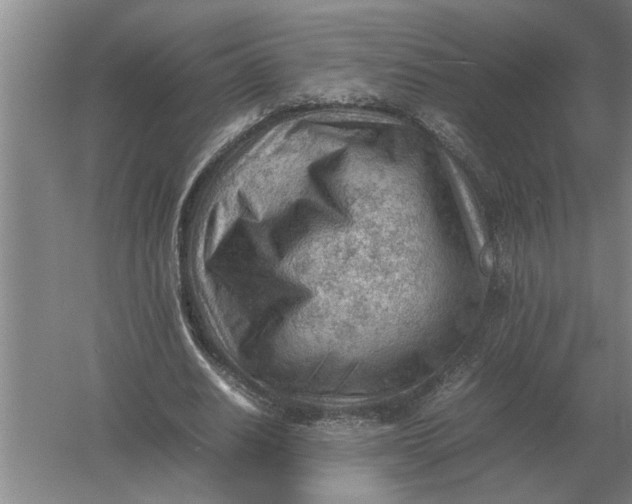 X0000054430630200508192124