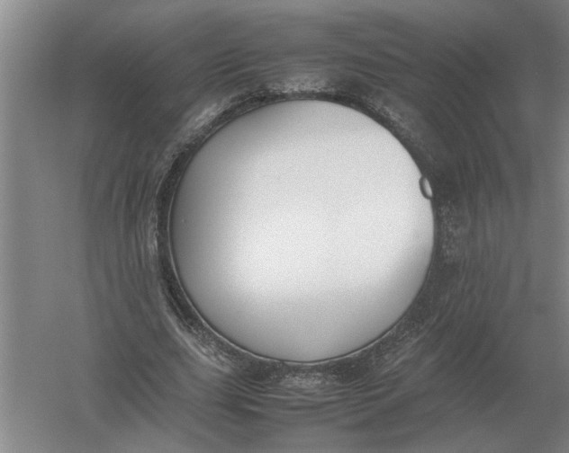 X0000054430631200508192124