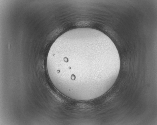 X0000054430633200508192124