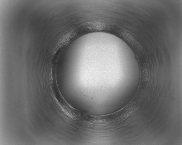 X0000054430638200508192124