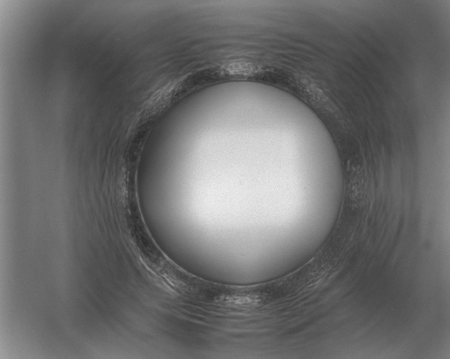 X0000054430639200508192124