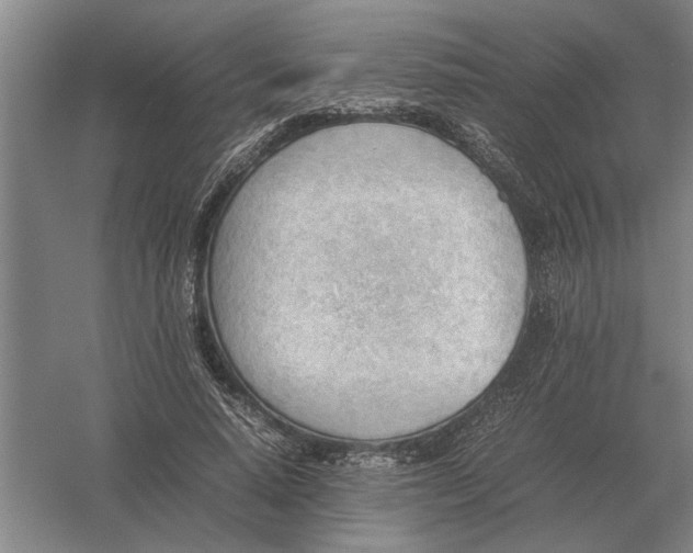 X0000054430640200508192125