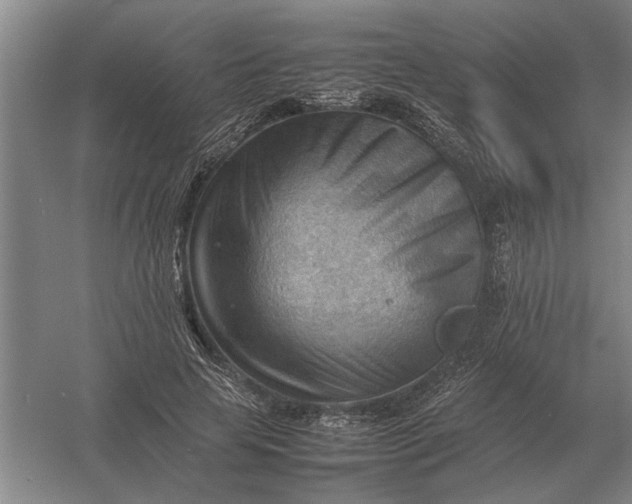 X0000054430641200508192125