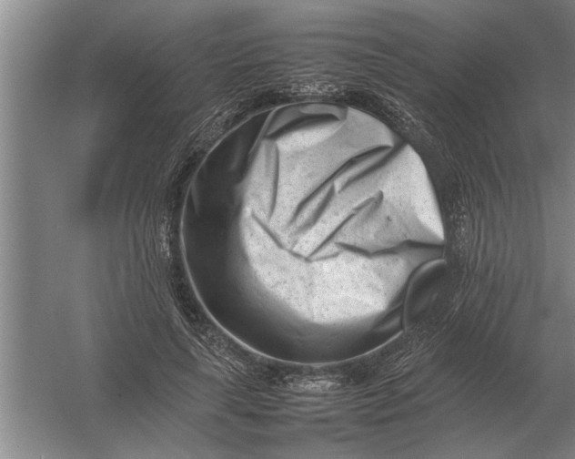 X0000054430643200508192125