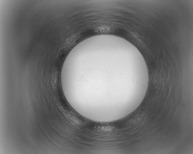 X0000054430645200508192125