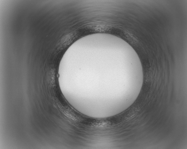 X0000054430646200508192125