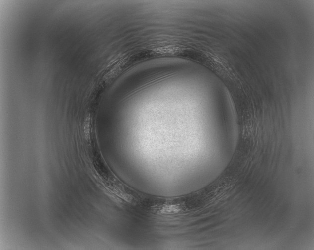 X0000054430647200508192125