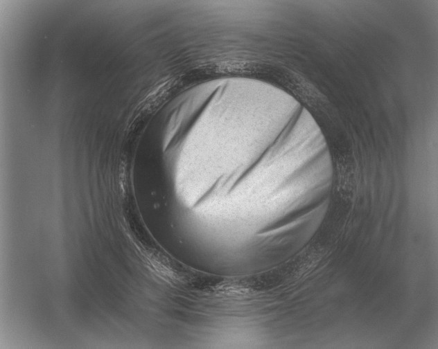 X0000054430648200508192125