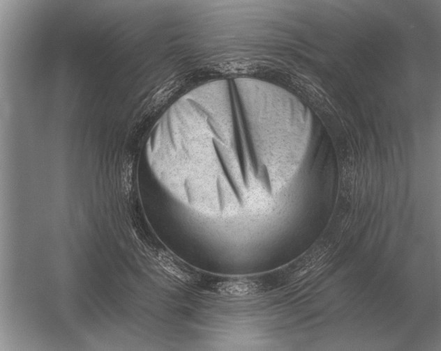 X0000054430652200508192125