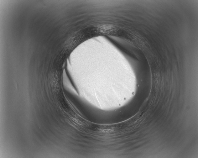 X0000054430653200508192125