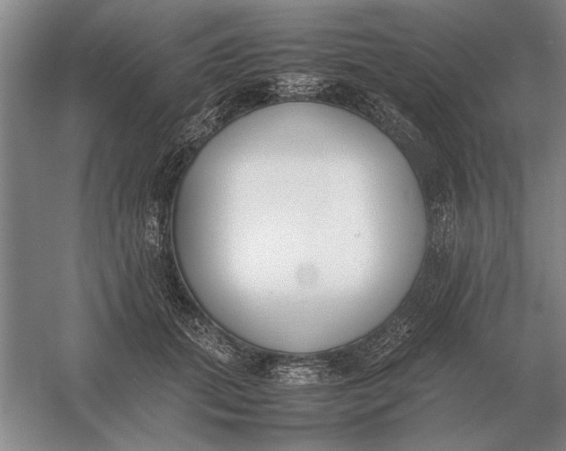 X0000054430655200508192125