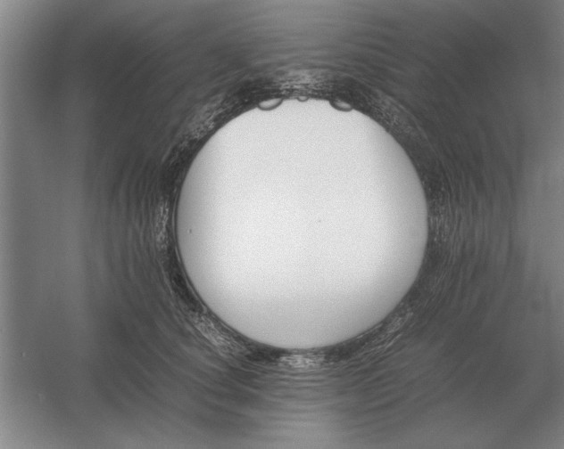 X0000054430660200508192125