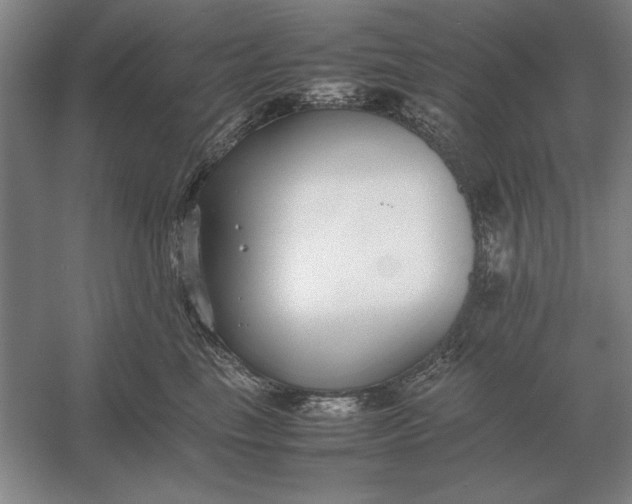 X0000054430665200508192125