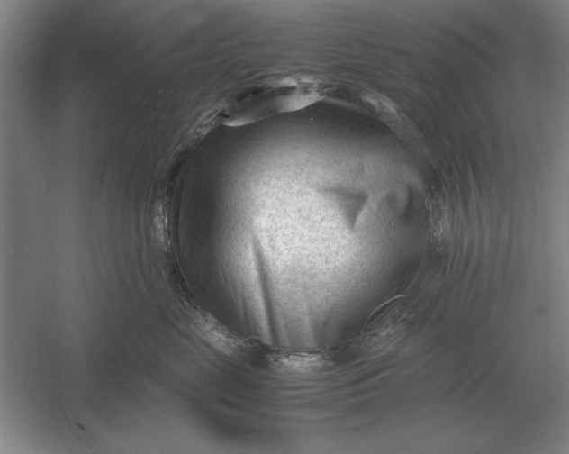 X0000054430669200508192125